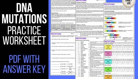 DNA Mutations Practice Worksheet With Answer Key - Laney Lee