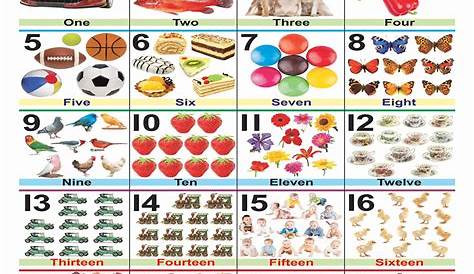 Buy Numbers 1 to 20 Educational Wall Chart For Kids Online Qatar, Doha