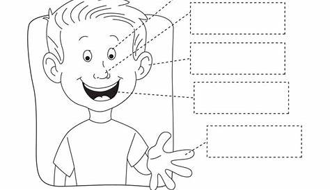 Kindergarten worksheets printable, Senses preschool, Five senses worksheet