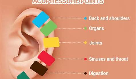 Powerful Ear Pressure Points | Acupressure, Acupressure treatment