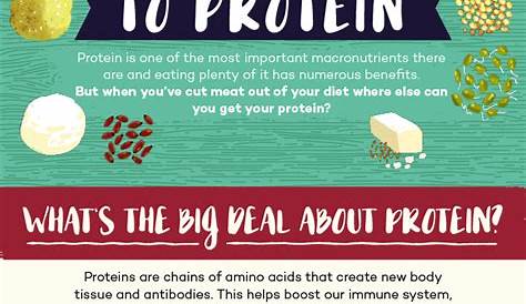 protein content of vegan food