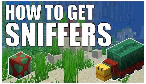 How to Get a SNIFFER in Minecraft 1.20 | How to find Sniffer Eggs - YouTube