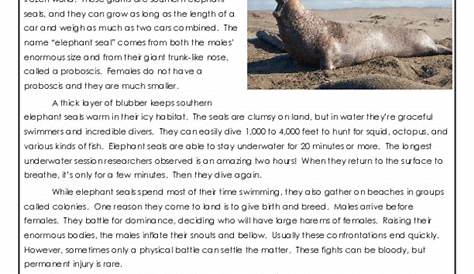 (PDF) World's Largest Seal | Virnashinta Dwi Novita - Academia.edu