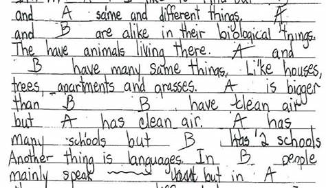 Grade 6 Level 3 Writing Sample