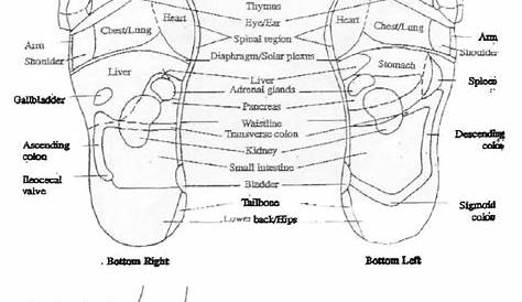 Reflexology – Learn Self Healing Techniques Online