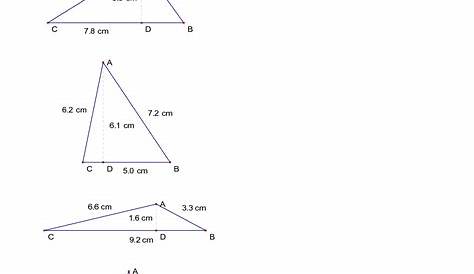 finding area of triangle worksheet