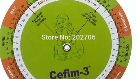 Gestation Calculator baby born wheel pregnancy goniometer expected date