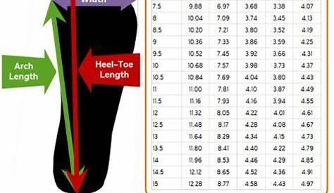 heel to ball shoe size chart