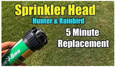 Replace Sprinkler Head - RainBird and Hunter - YouTube