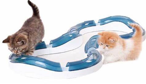 Catit Design Senses Circuit Cat Toy, Super Roller - Chewy.com