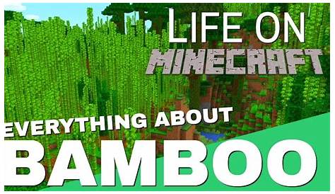 what can you do with bamboo in minecraft