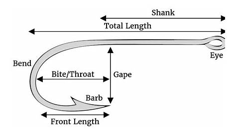 A Guide to Fishing Hook Sizes and Types