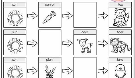 Kindergarten Science Worksheets | Kindergarten science, Science