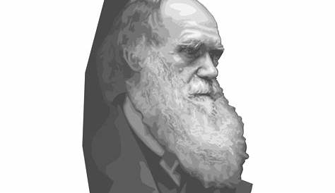 12 Darwin's Natural Selection Worksheet Key / worksheeto.com