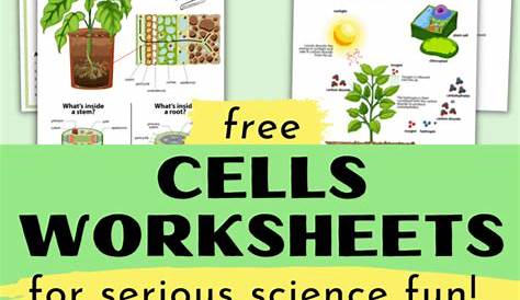 Free Cells Worksheets for Super Fun Science Activities for Kids