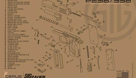 SIG SAUER® P238 and P938 Schematic ProMat: Licensed & Endorsed by SIG