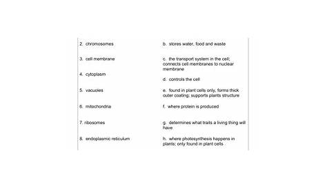 Human Cell Structure Worksheet Along With Cell Parts And Functions