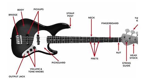 fender p bass schematic