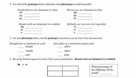 genetics practice problems worksheet answers