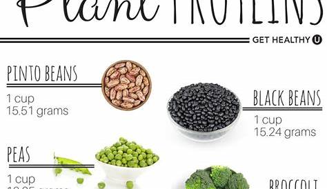 veg food protein chart