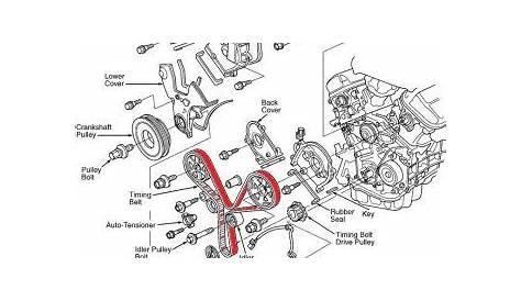 Timing Belt: Where Is the Timing Belt Located on a 2005 Honda