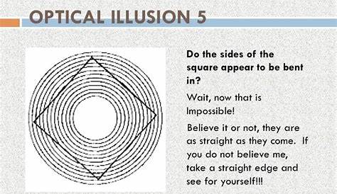 math optical illusions worksheet