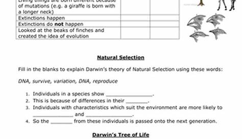 Darwin vs. Lamarck by zuba102 - Teaching Resources - TES