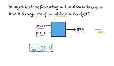 41 net force worksheet physics - Worksheet Master