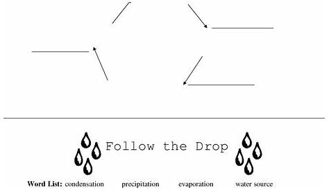 Water Cycle Worksheet for 2nd - 3rd Grade | Lesson Planet