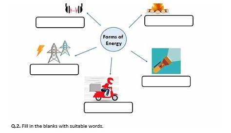 light energy worksheet pdf