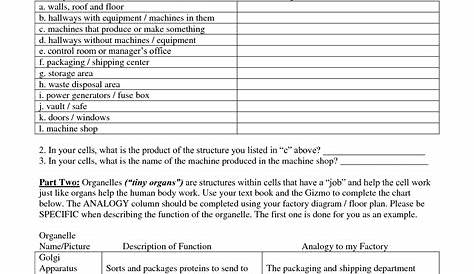 cell and factory worksheet