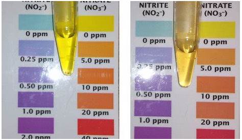 api water test kit color chart