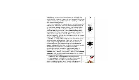 Cell Membrane Transport Reading and Worksheet by sciencemusicvideos