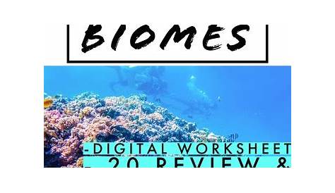 Marine Ecosystems - Digital Reading and Worksheet | TPT