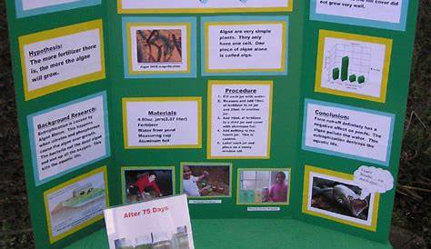 third grade science project ideas