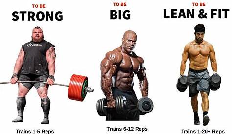 √ Compound Lifts Only Results