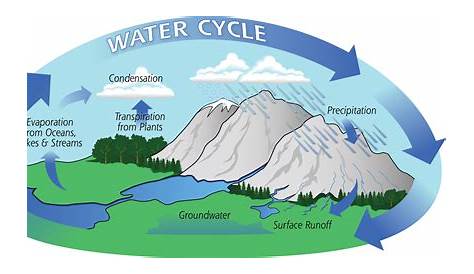 The Water Cycle | Precipitation Education