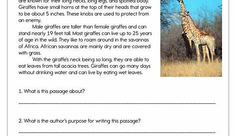 Identifying Author's Purpose Worksheet by Teach Simple