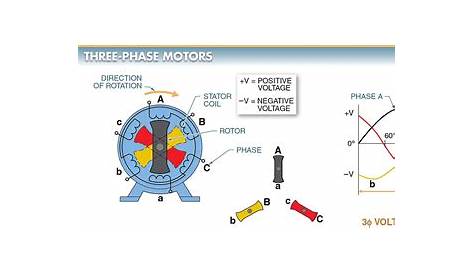 AC Motor Types | Working Principle | Single & Three Phase AC Motors