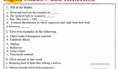 light worksheet grade 4