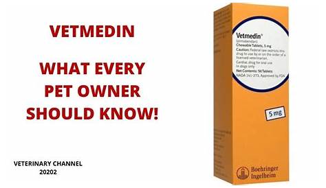 What Every Pet Owner Should Know About The Use Of Vetmedin | Pimobendan