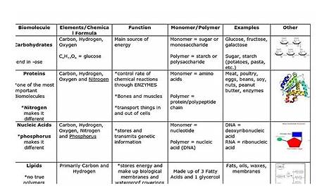 Macromolecules Chart Worksheets