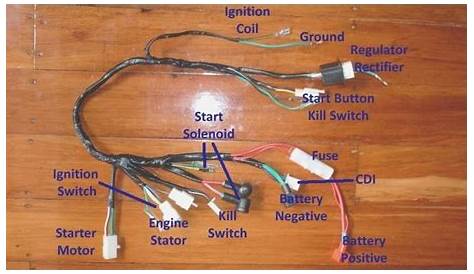 cool sport chopper pocket bike wiring diagram