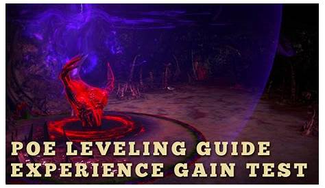 PoE Leveling Guide Experience Gain Test - poecurrencybuy.com
