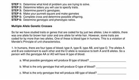 worksheet multiple allele crosses