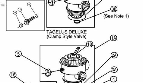 tagelus ta-60 sand filter manual