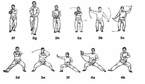 Chen style Tai Chi with its 38-form: | CESAR | Pinterest | Tai chi