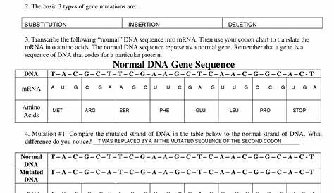 Dna Mutations Worksheet Answer Key - Printable Word Searches