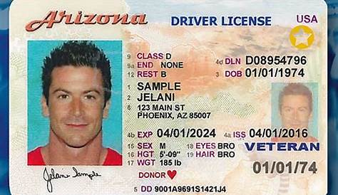 az driver's license manual