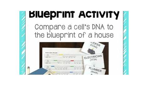 Protein Synthesis Blueprint Activity by Science Lessons That Rock